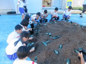 2025年9月11日　小学校スプレーギク教室2